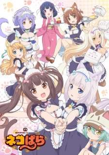 Nekopara Sub Indo : Episode 1 – 12 (End)